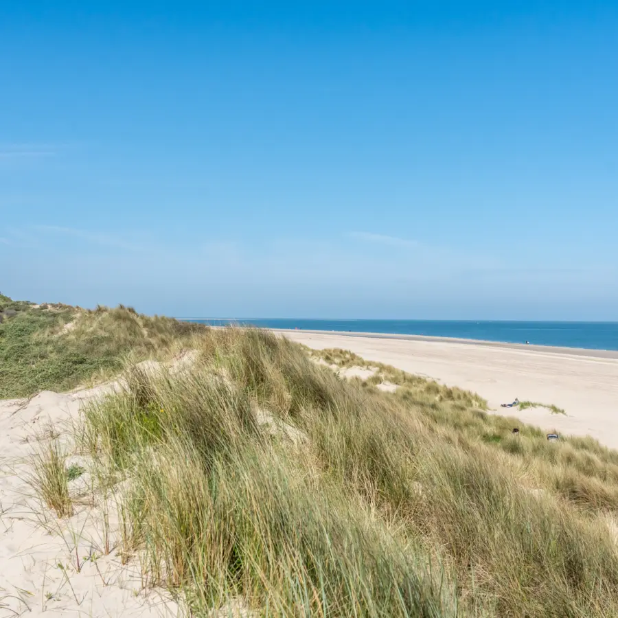 19 mei 2023 sd renesse 03656