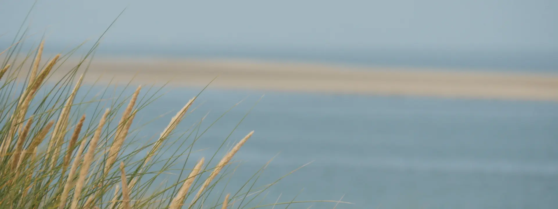 P1050708 MOV 07 54 45 02 Still001l